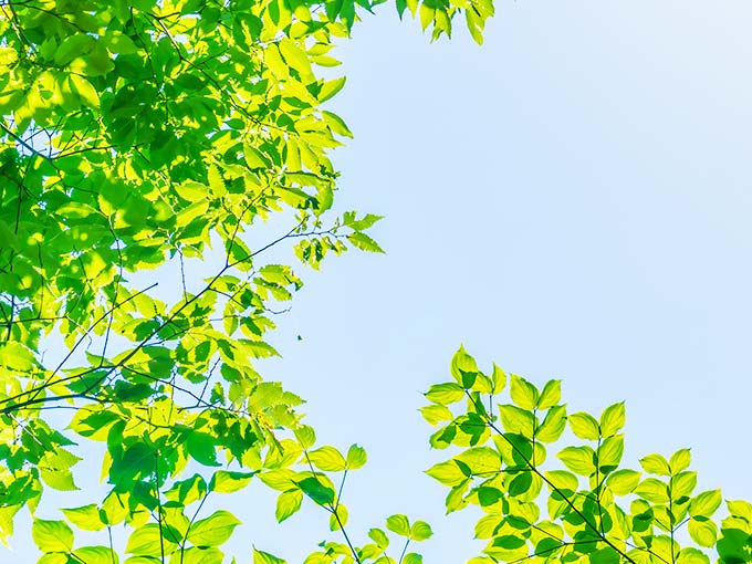 Environment Management (ISO14001)
