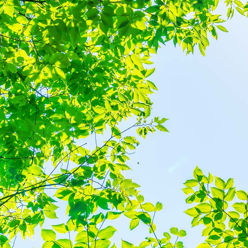 Environment Management (ISO14001)